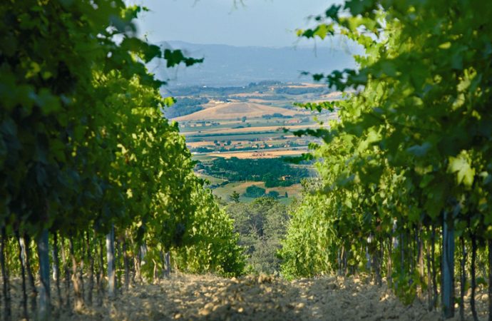 Croce di Febo 2